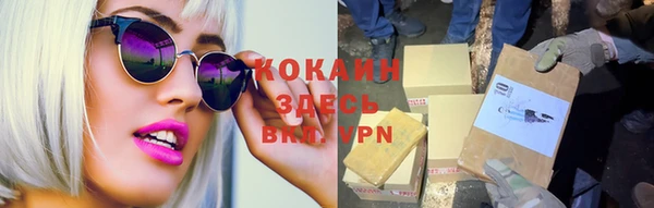 PSILOCYBIN Карталы