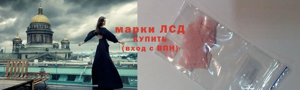 PSILOCYBIN Карталы