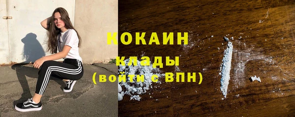 круглые Карпинск