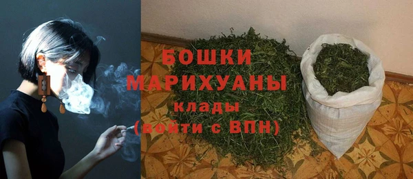 PSILOCYBIN Карталы