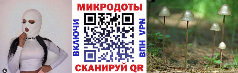 Галлюциногенные грибы Psilocybe  Купить  Макаров 